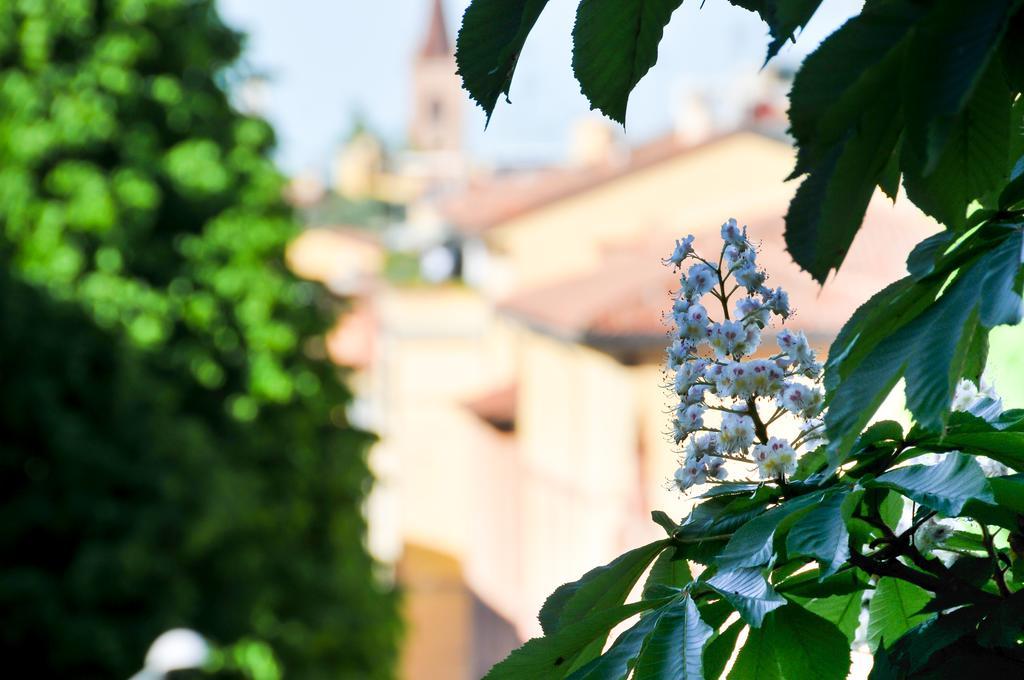 B&B Al Parco Giardini Margherita Bologna Kültér fotó